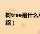 樹tree是什么牌子（棵棵樹COCTREE品牌介紹）
