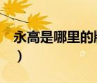 永高是哪里的牌子（永高人YGAOR品牌介紹）