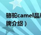 駱駝camel品牌旗艦店男鞋（駱駝CAMEL品牌介紹）