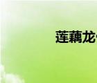 蓮藕龍骨湯做法（lol攻略）