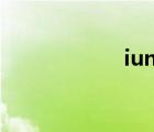 iuni n1（iuni n1）