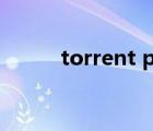 torrent player（torrent 文件）