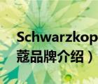 Schwarzkopf 施華蔻（Schwarzkopf施華蔻品牌介紹）