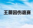 王薔因傷退賽  什么比賽受了什么傷而退賽
