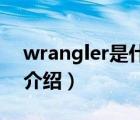 wrangler是什么牌子（Wrangler威格品牌介紹）