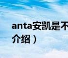anta安凱是不是安踏正品（安踏ANTA品牌介紹）