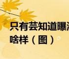 只有蕓知道曝海報(bào)  什么是只有蕓知道海報(bào)長啥樣（圖）