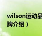 wilson運動品牌叫啥（Wilsonart威盛亞品牌介紹）