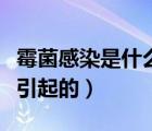 霉菌感染是什么引起的病變（霉菌感染是什么引起的）