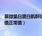 尿微量白蛋白肌酐比值正常說明什么（尿微量白蛋白肌酐比值正常值）