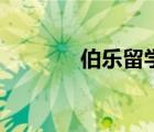 伯樂留學(xué)網(wǎng)（伯樂留學(xué)介紹）