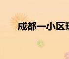 成都一小區(qū)現(xiàn)30層樓高花墻 是怎樣的