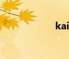 kaixia（kaixin網(wǎng)）
