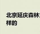 北京延慶森林火災(zāi) 火勢(shì)大么具體情況是怎么樣的