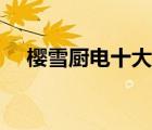 櫻雪廚電十大品牌（櫻雪廚電品牌介紹）