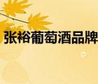 張?jiān)Ｆ咸丫破放票姸啵◤堅(jiān)Ｆ咸丫破放平榻B）