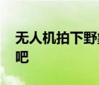無人機拍下野象群睡覺休息畫面 睡得太香了吧
