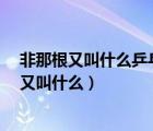 非那根又叫什么乒乓球團(tuán)體比賽為什么還要單打?（非那根又叫什么）