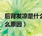 后背發(fā)涼是什么原因看什么科（后背發(fā)涼是什么原因）