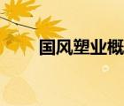 國(guó)風(fēng)塑業(yè)概念（國(guó)風(fēng)塑業(yè)品牌介紹）