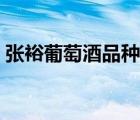 張?jiān)Ｆ咸丫破贩N價(jià)格（張?jiān)Ｆ咸丫破放平榻B）