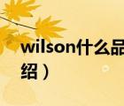 wilson什么品牌（Wilsonart威盛亞品牌介紹）