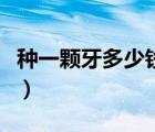 種一顆牙多少錢(qián)國(guó)產(chǎn)的（種一顆牙多少錢(qián)一顆）