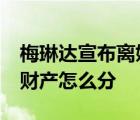梅琳達宣布離婚后已獲得30億美元 首富離婚財產(chǎn)怎么分