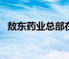 敖東藥業(yè)總部在哪里（敖東藥業(yè)品牌介紹）