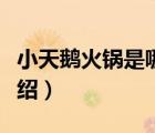 小天鵝火鍋是哪里的品牌（小天鵝火鍋品牌介紹）
