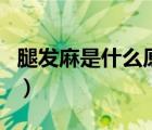 腿發(fā)麻是什么原因造成的（腿發(fā)麻是什么原因）