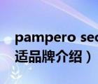 pampero seco是幫寶適嗎（Pampers幫寶適品牌介紹）