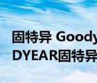 固特異 Goodyear 4Seasons Gen-2（GOODYEAR固特異品牌介紹）