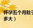 懷孕五個(gè)月肚子很大正常嗎（懷孕五個(gè)月肚子多大）