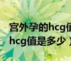 宮外孕的hcg值和孕酮一般是多少（宮外孕的hcg值是多少）