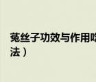 菟絲子功效與作用吃法大全（菟絲子的功效與作用及食用方法）