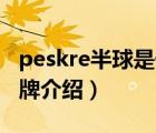 peskre半球是什么品牌（半球電器Peskoe品牌介紹）