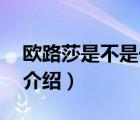 歐路莎是不是一線品牌（歐路莎ORans品牌介紹）