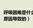呼吸困難是什么原因胸口痛（呼吸困難是什么原因?qū)е碌模?/>
                                    </a>
                                                </div>
                                    <div   id=
