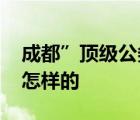 成都”頂級(jí)公務(wù)機(jī)被擊穿”原因查明 具體是怎樣的