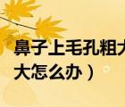 鼻子上毛孔粗大怎么辦小妙招（鼻子上毛孔粗大怎么辦）