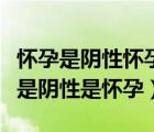 懷孕是陰性懷孕還是陽性懷孕（陽性是懷孕還是陰性是懷孕）