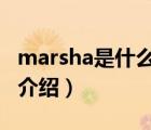 marsha是什么牌子（大將軍MARSHAL品牌介紹）