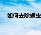 如何去除螨蟲簡單方法（如何去除螨蟲）
