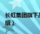 長(zhǎng)虹集團(tuán)旗下品牌（長(zhǎng)虹Changhong品牌介紹）