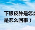 下眼皮腫是怎么回事如何快速消腫（下眼皮腫是怎么回事）