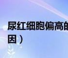 尿紅細胞偏高的原因女性（尿紅細胞偏高的原因）