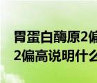胃蛋白酶原2偏高說明什么問題（胃蛋白酶原2偏高說明什么）