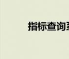 指標查詢系統(tǒng)（做b超詳細步驟）