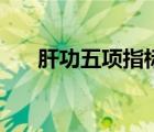 肝功五項指標(biāo)怎么看（肝功五項指標(biāo)）